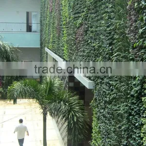 2015 High Quality Artificial Plant Wall/artificial Grass Garden Decoration thumbnail-1