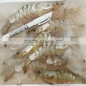Frozen W/R White-leg Shrimp thumbnail-1