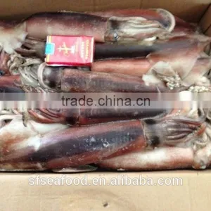Chicharon of Japanese Squid thumbnail-2