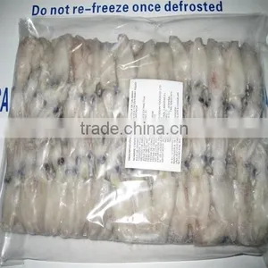 Frozen Baby Loligo Squid thumbnail-4