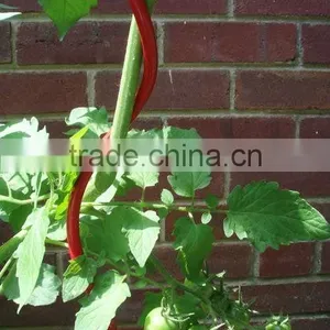3mm Electro-galvaized Tomato Trellis High Quality China Supplier on Sale thumbnail-5