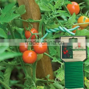 High Quality Garden Tools of Plastic Twist Tie Roll for Tree Planting thumbnail-1