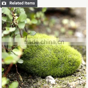 Buy Direct From China Manufacturer Roof Gardening Moss Stone thumbnail-3