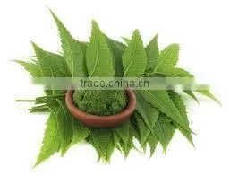 Azadiracta Indica thumbnail-4