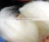 Dehaired Chinese White Cashmere Fiber thumbnail-1