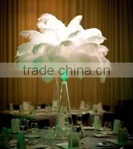 High Quality White Party Ostrich Feathers for Sale thumbnail-1