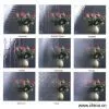 Sell Pattern Glass thumbnail-1