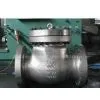 Check Valve thumbnail-1