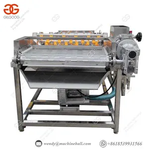 Lettuce Washing Equipment Equipment Bubble Leafy Vegetable Fruit thumbnail-1