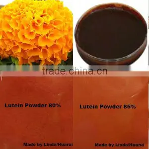 Lutein Ester Marigold P.E. Lutein Powder thumbnail-1
