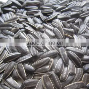 Crop Top Black Sunflower Seed for Oil for Sale thumbnail-1