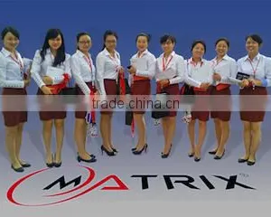 Shenzhen Matrix Battery Co., Ltd. company overview - view 2 thumbnail