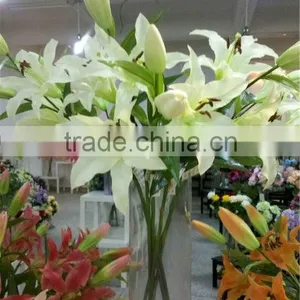 PU Artificial Lilium Casa Blanca thumbnail-1