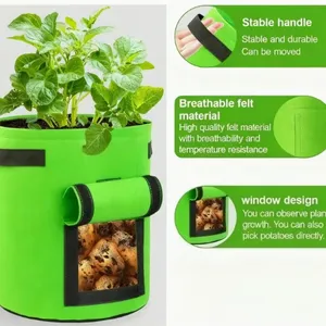 Premium Eco-friendly Nonwoven Fabric Potato Grow Bags With Reinforced Handles Large Capacity Garden Pots thumbnail-2