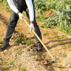 Wholesale Cultivation Hoe for Africa Agricultural Distributors Designed for Distributors Serving Smallholder Farming Projects Contai thumbnail-3