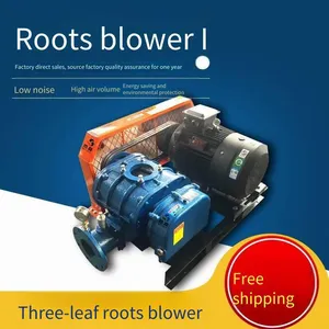 Roots Blower With Branded Pure Copper Motor, Made of Cast Steel, for Sewage Treatment Aeration and Aquaculture Oxygenation thumbnail-5