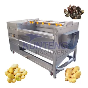 Commercial Fresh Ginger Washing and Peeling Machine Vegetable Washers Shell Fish Carrot Dates Potato Cleaning Machine EPC thumbnail-1