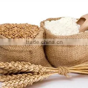Complete Set of Wheat Flour Milling Machinery thumbnail-6
