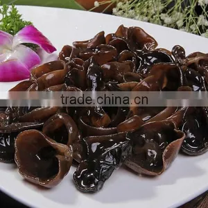 Bubble Type Kelp Washing Machine|Mushroom and Bean Sprout Cleaning Machine thumbnail-5