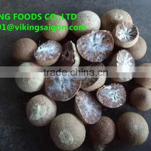 BETEL NUTS_GOOD QUALITY_BEST PRICE thumbnail-3
