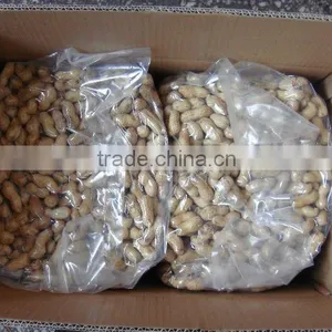 Delicious Roasted Peanuts in Shell for Sale thumbnail-2