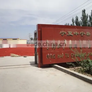 Goji Berry Company thumbnail-2