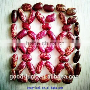 Chinese Purple Speckled Kidney Beans thumbnail-3