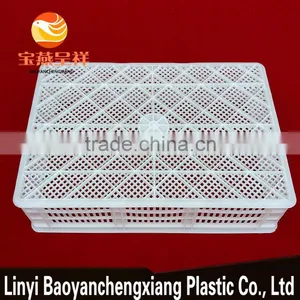 650x450x170mm Plastic Turnover Basket for Duckling Transportation thumbnail-6