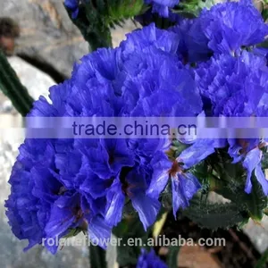 Promotional Dried Flowers Roses Flowers With 60-80cm Long From Yunnan, China thumbnail-4