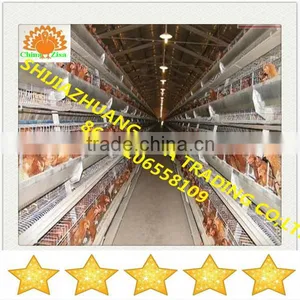 Commercial Chicken Cages thumbnail-1