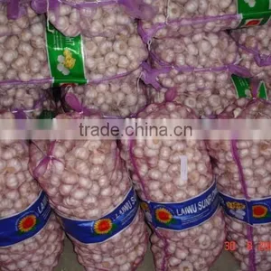 Chinese Normal Garlic thumbnail-5