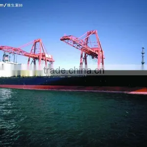 Pat From Shenzhento Russia Sea Freight thumbnail-1
