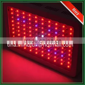 Wholesale Full Spectrum 300W Led Plant Grow Light thumbnail-1