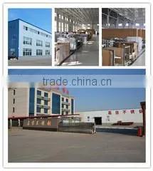 Shandong Dingyang Economic And Trade Co., Ltd. company overview - view 1 thumbnail