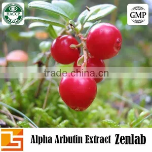 Skin Care White Needle Crystal Beta Arbutin Cosmetic Suppliers From Bearyberry Leaf Powder thumbnail-1