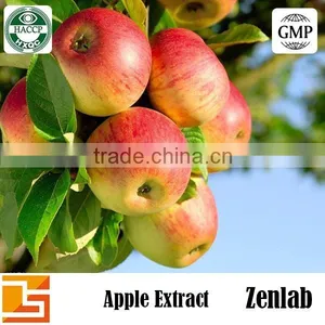 Apple Extract With Apple Phloretin Powder for Skin Whitening thumbnail-1