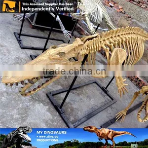 MY Dino-C078 Aquarium Life Size Fish Skeleton thumbnail-6