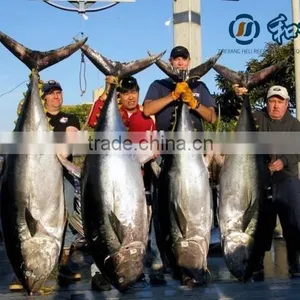 Ultra Low -65 Centigrade Temperature Freeze for Tuna Frozen Storage thumbnail-3
