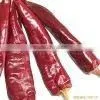 Jinta Red Chili thumbnail-1