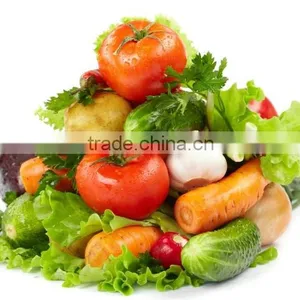 Fresh Vegetables Exporters thumbnail-3