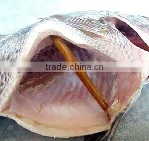 China Origin Best-seller Tilapia Gutted and Scaled WholeTilapia thumbnail-1