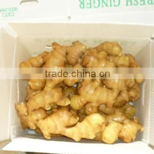 Ginger Manufacture thumbnail-3
