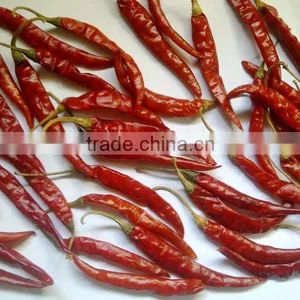 Dry Red Chili thumbnail-6
