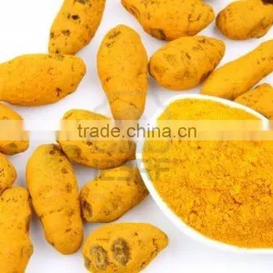 Turmeric Powder thumbnail-3