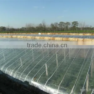 Solar Greenhouse With Plastic Sheet for Sale thumbnail-1