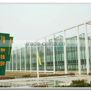Commercial Multi Span Temper Glass Greenhosue thumbnail-1