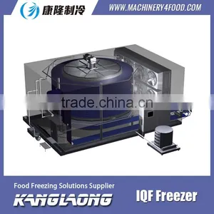 2015 New Design High Quality Spiral Frozen Food Plants thumbnail-2