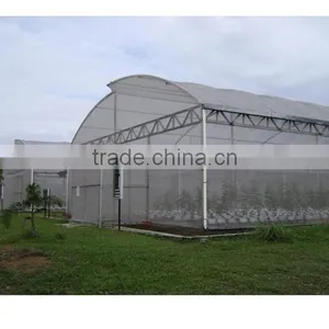 Multi-span Greenhouse With Greenhouse Window Opener System thumbnail-6