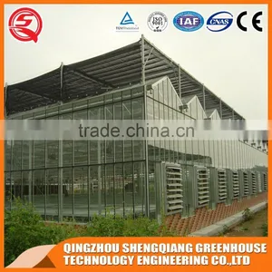 Factory Direct Heating to Sell High Quality Venlo Glass Greenhouse thumbnail-3