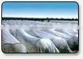PP Spun Bond UV Treated Fabric for Agriculture Use thumbnail-1